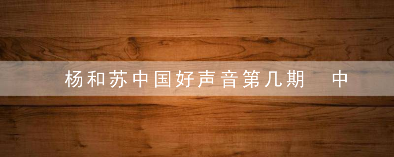 杨和苏中国好声音第几期 中国好声音杨和苏在哪一期